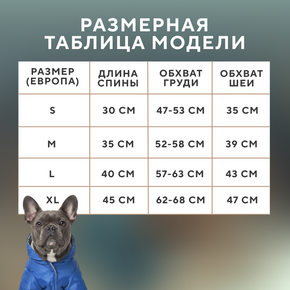 Куртка для собак FOXIE Merro синяя с капюшоном