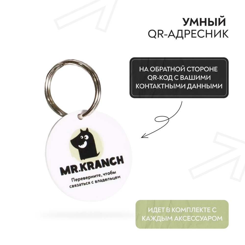 Ошейник-селедка для собак MR.KRANCH из натуральной кожи с QR-адресником, нежно-зеленый 19-23см