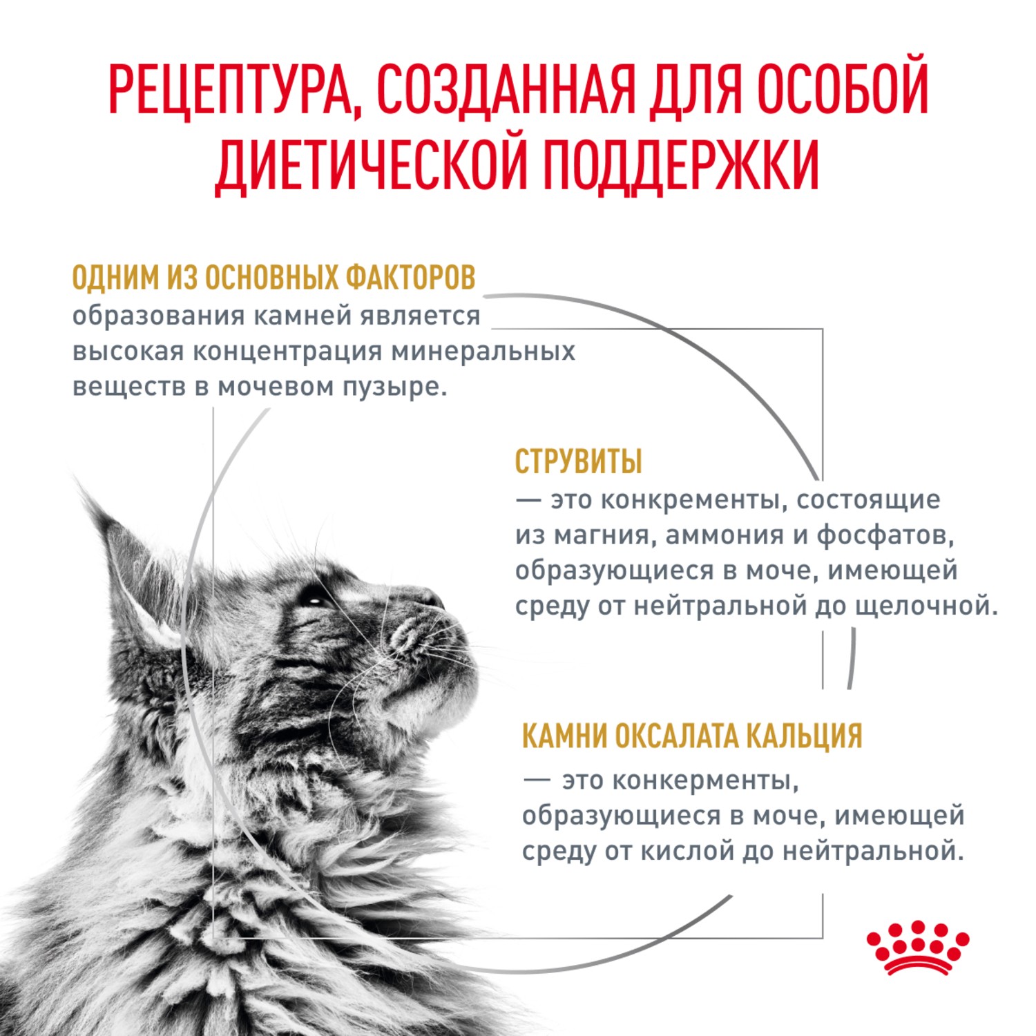 Корм для кошек ROYAL CANIN Urinary S/O для растворения струвитных камней сух.