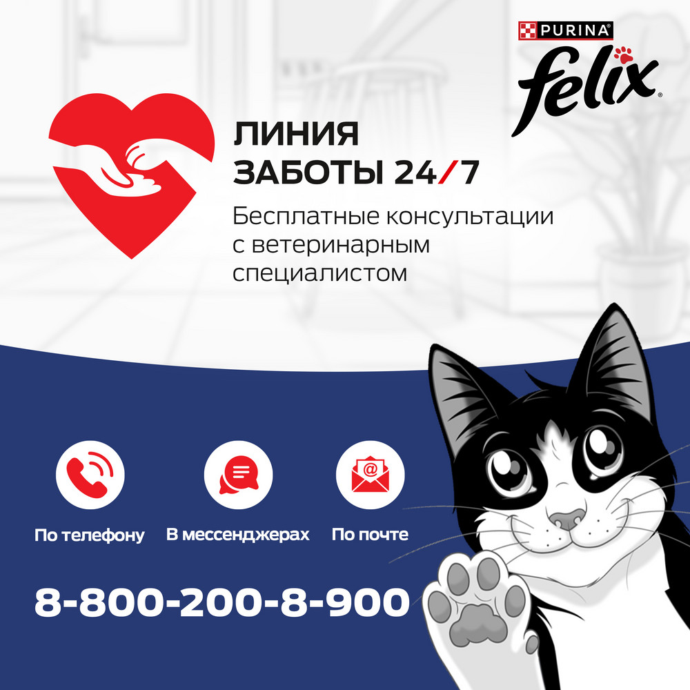 Корм для кошек FELIX Двойная Вкуснятина с индейкой и печенью, в желе пауч