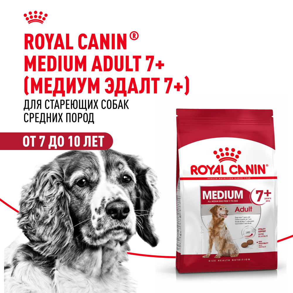 Корм для собак ROYAL CANIN Medium Adult 7+ для средних пород от 7 лет сух.