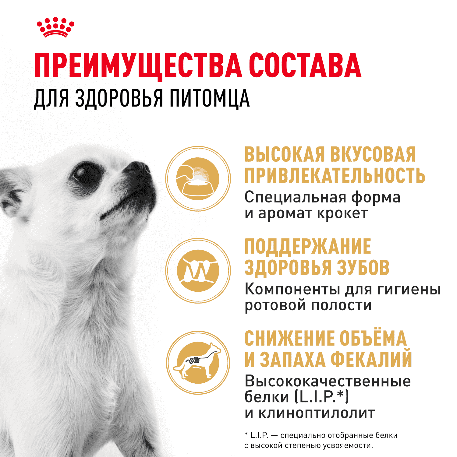 Корм для собак ROYAL CANIN Chihuahua Adult для породы чихуахуа от 8 месяцев сух.