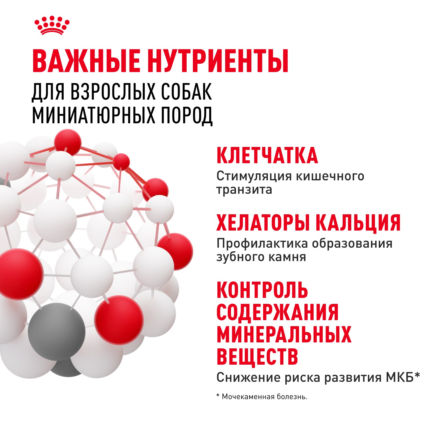 Корм для собак ROYAL CANIN Size X-Small Adult для миниатюрных пород от 10 месяцев до 8 лет сух.