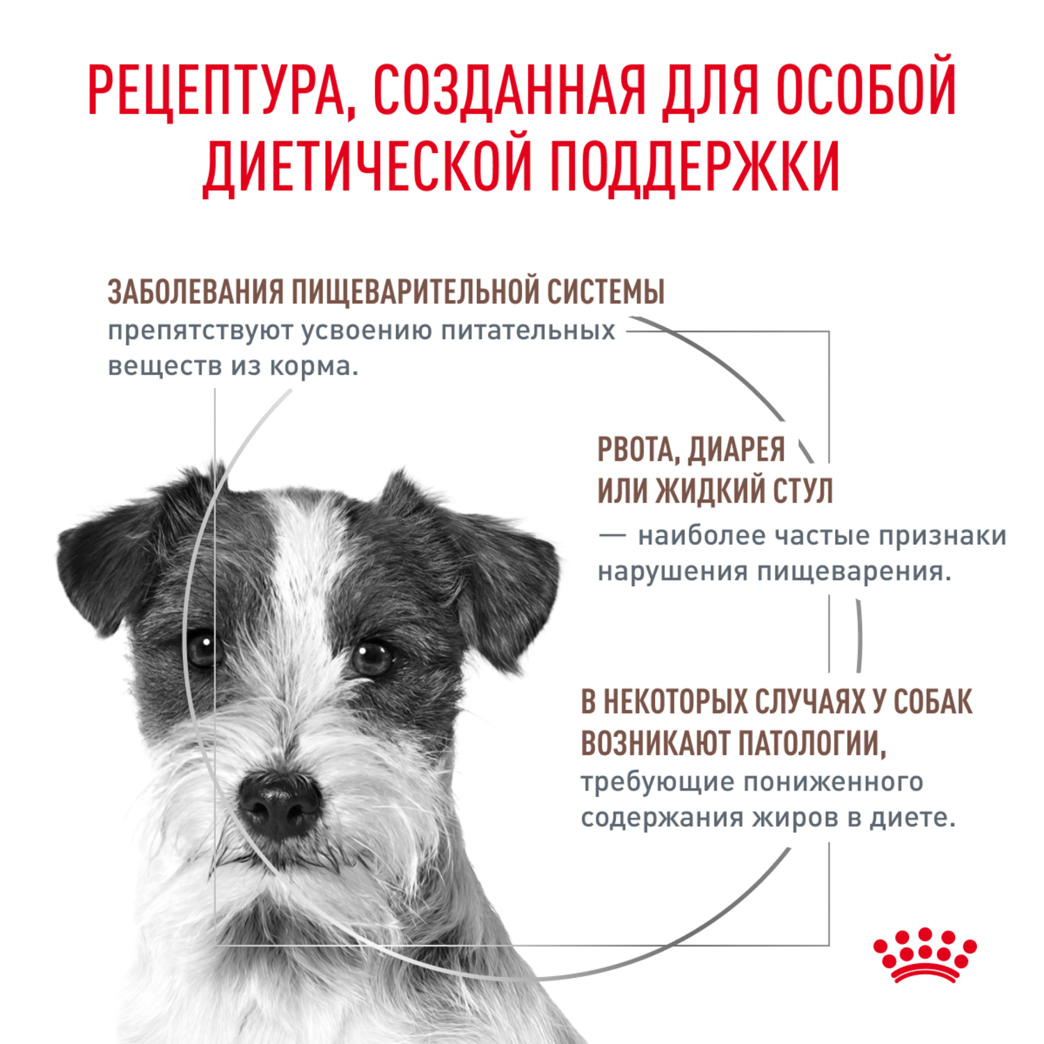 Корм для собак ROYAL CANIN Gastrointestinal Low Fat для мелких пород при наруш.пищеварения сух.