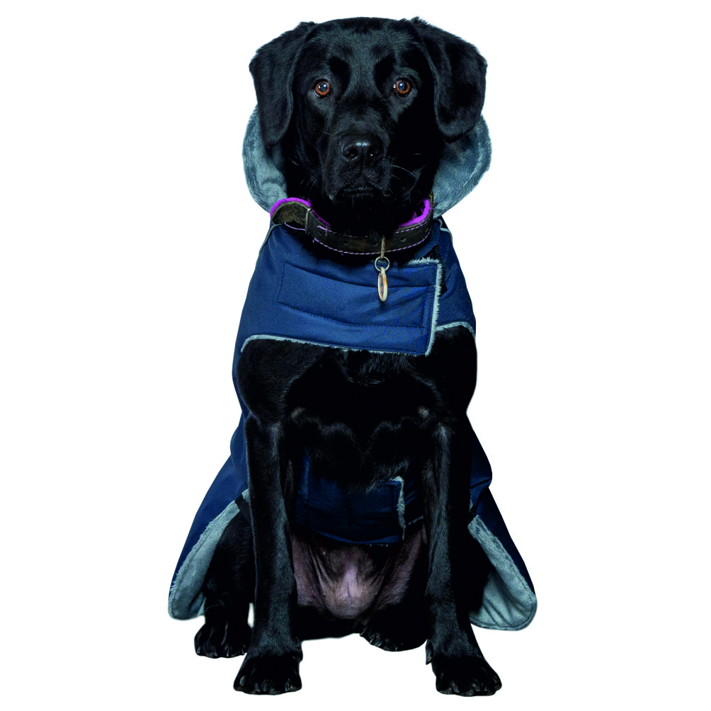 Попона для собак DOG MODA Бостон синяя-7