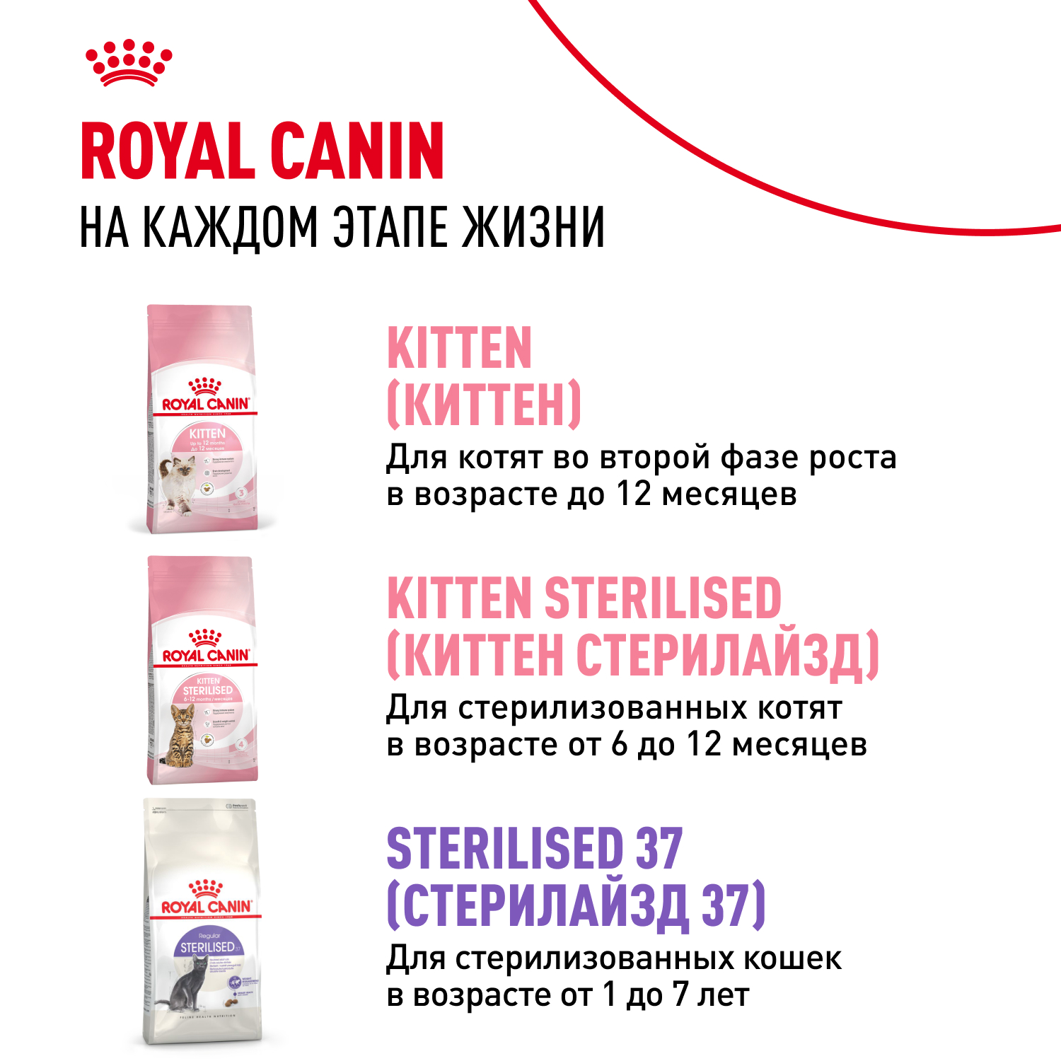 Корм для котят ROYAL CANIN в период третьей фазы роста, мясо в желе пауч