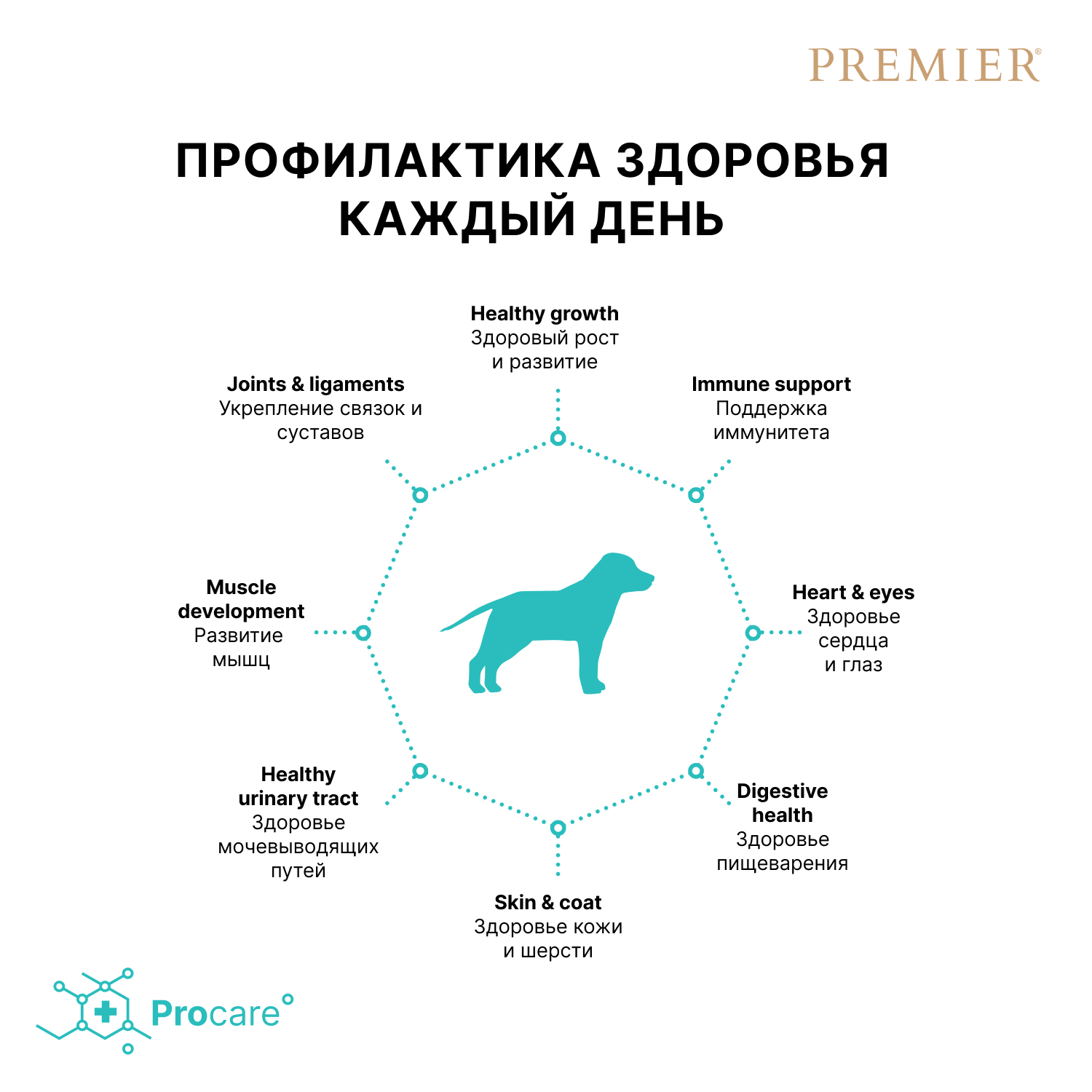 Корм для молодых собак PREMIER Dog для средних и крупных пород, свежее мясо индейки сух.