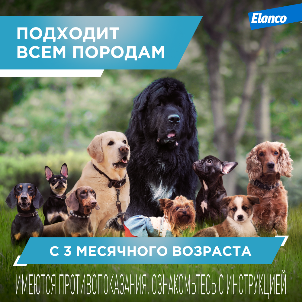 Ошейник для собак ELANCO Килтикс от блох и клещей 35см