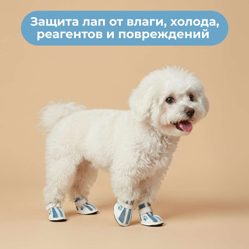 Ботинки для собак FOXIE Paws M 5,6х4см голубые