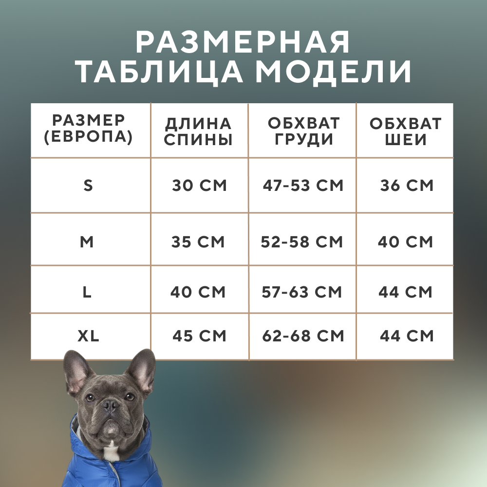 Куртка для собак FOXIE Heldi синяя с капюшоном