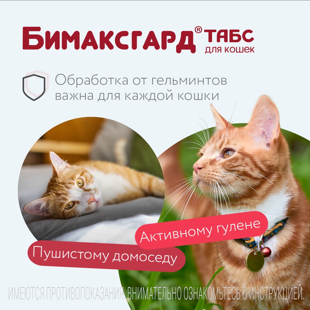 Антигельминтик для котят и маленьких кошек NEOTERICA Бимаксгард ТАБС, 2 таб.(0,5-2кг)