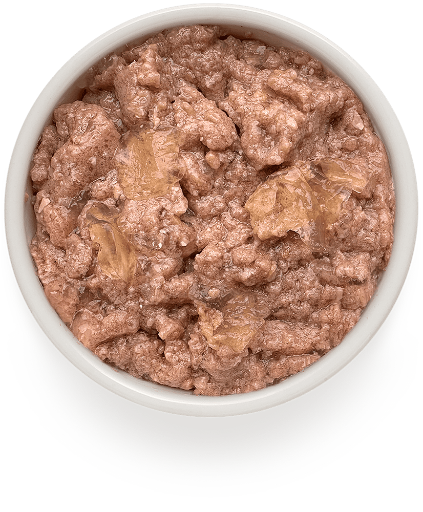 Корм для собак GRANDORF FRESH Паштет из индейки банка