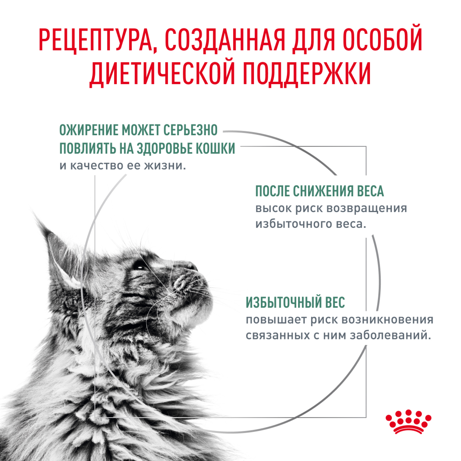 Корм для кошек ROYAL CANIN Satiety Weight Management рекомендуемый для снижения веса сух.