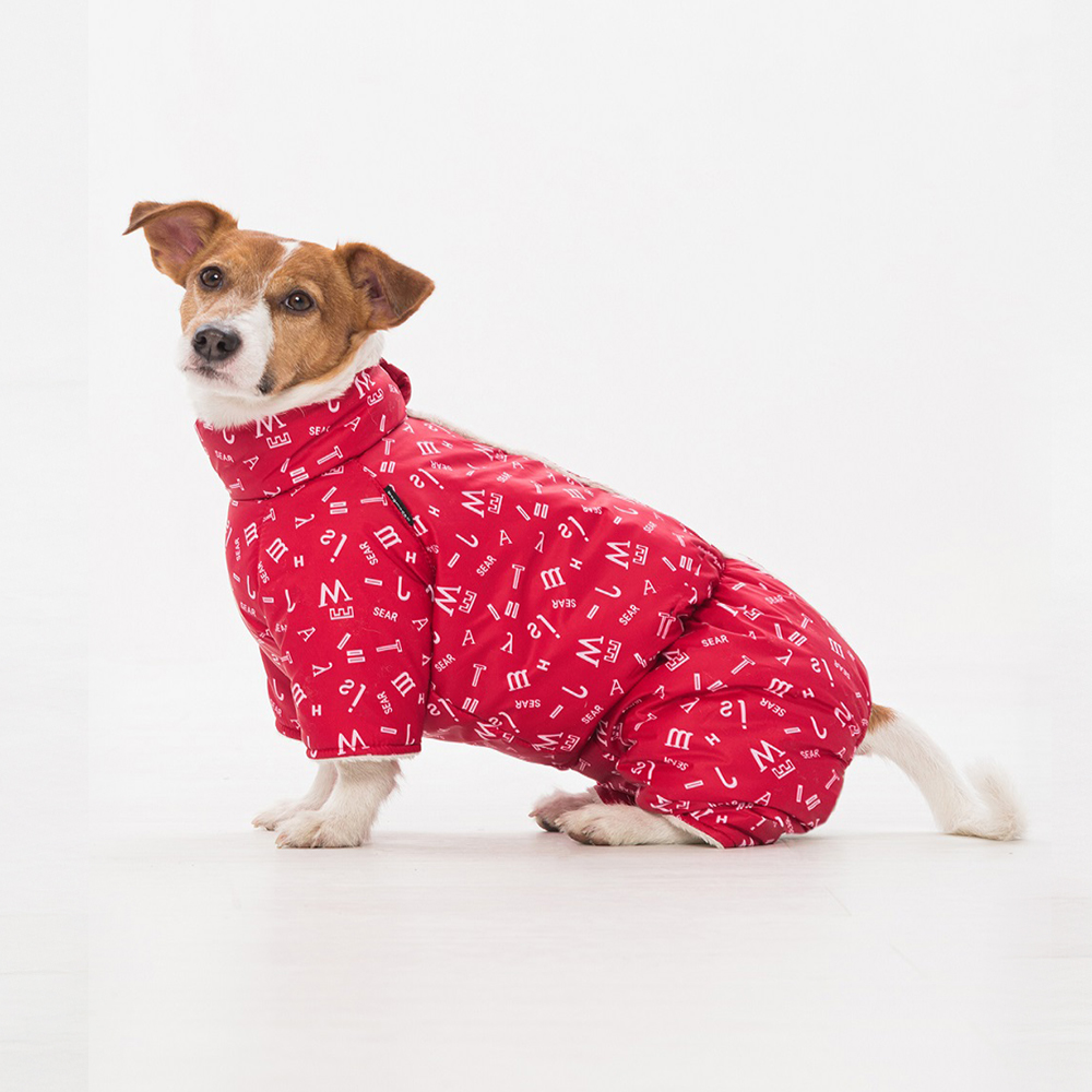 Комбинезон для собак DOG MODA Буквы с кнопками сверху (красный) девочка 32см (4)