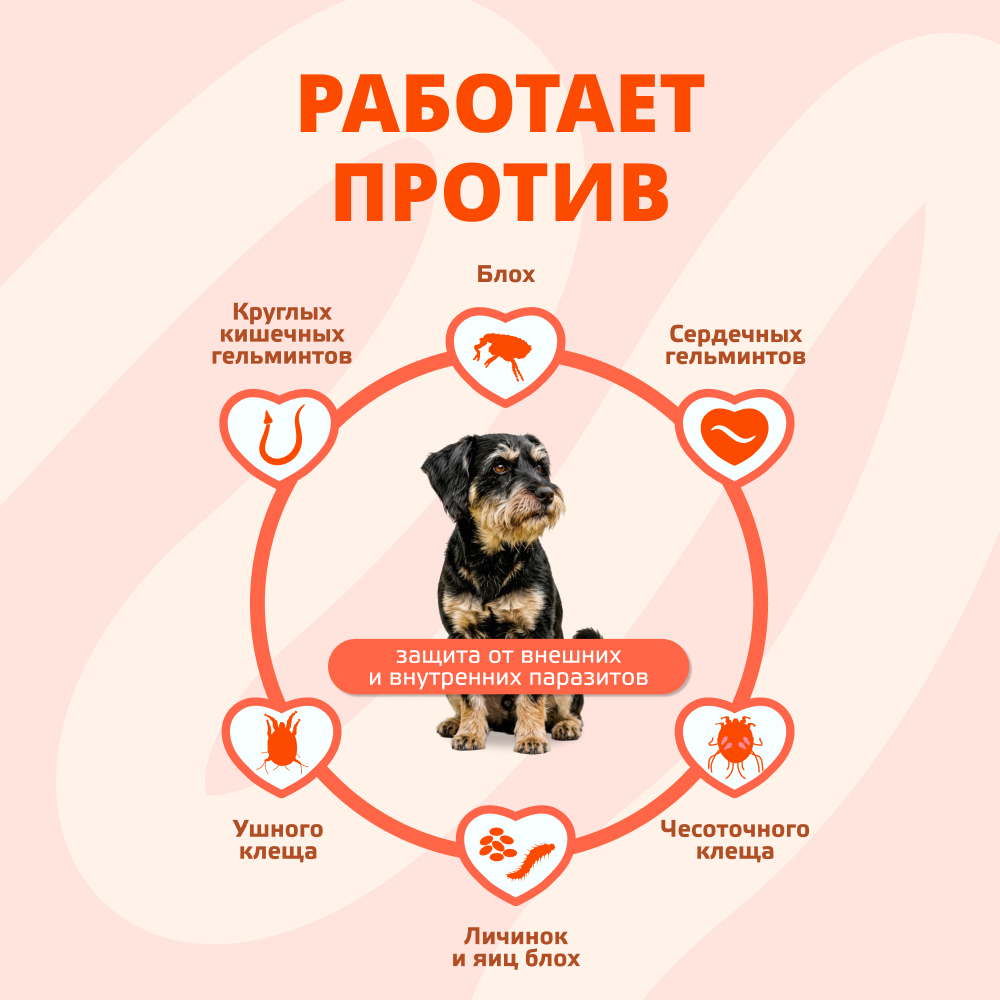 Капли для собак KRKA Селафорт от ушных и чесоточ.клещей, блох, гельминтов 5,1-10кг (60мг) 1 уп.