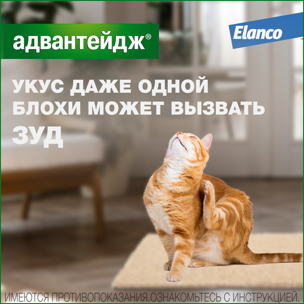Капли для котят и кошек ELANCO Адвантейдж от блох  (до 4кг), 1 пипетка в упаковке 0,4мл