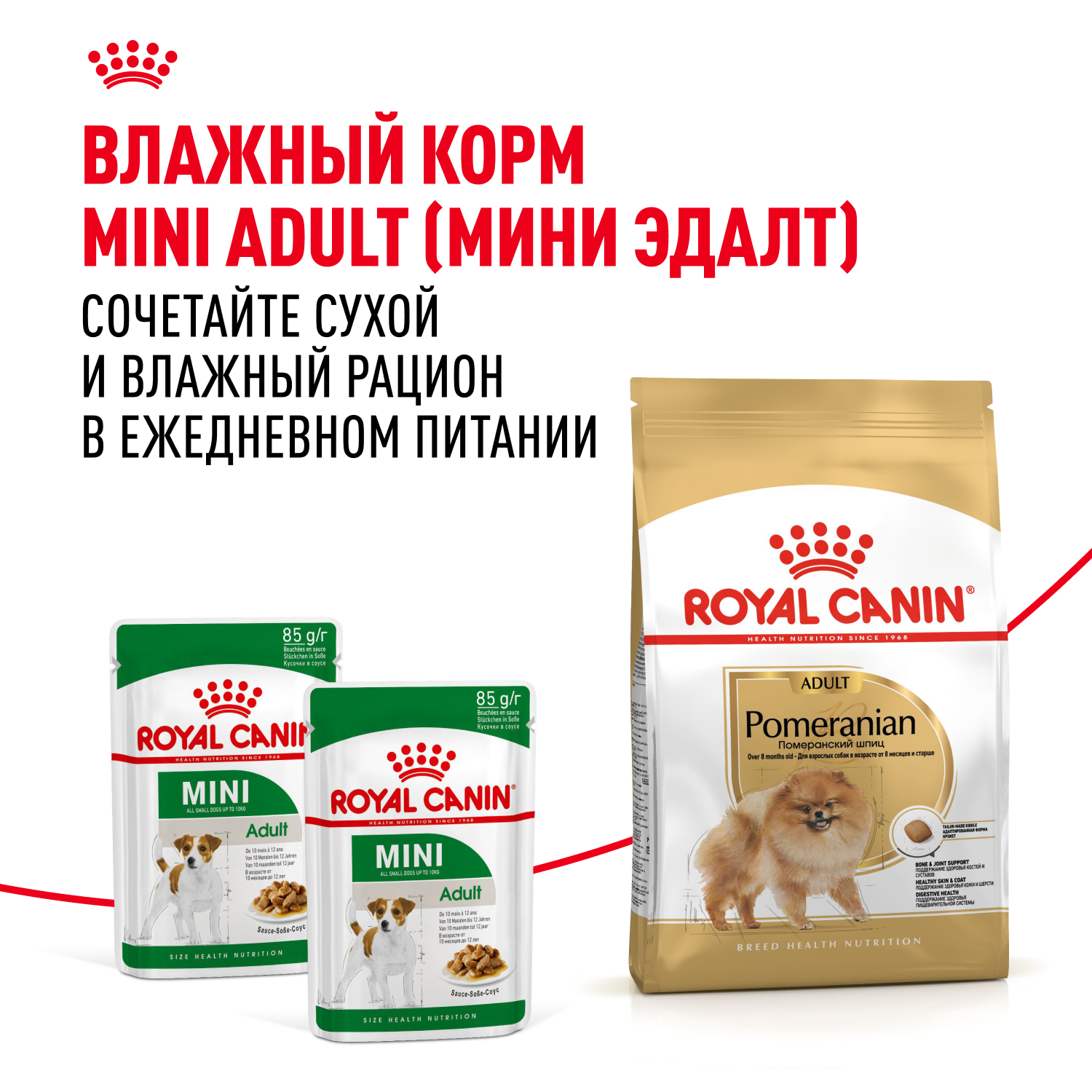 Корм для собак ROYAL CANIN Pomeranian для породы Померанский шпиц старше 8 месяцев сух.