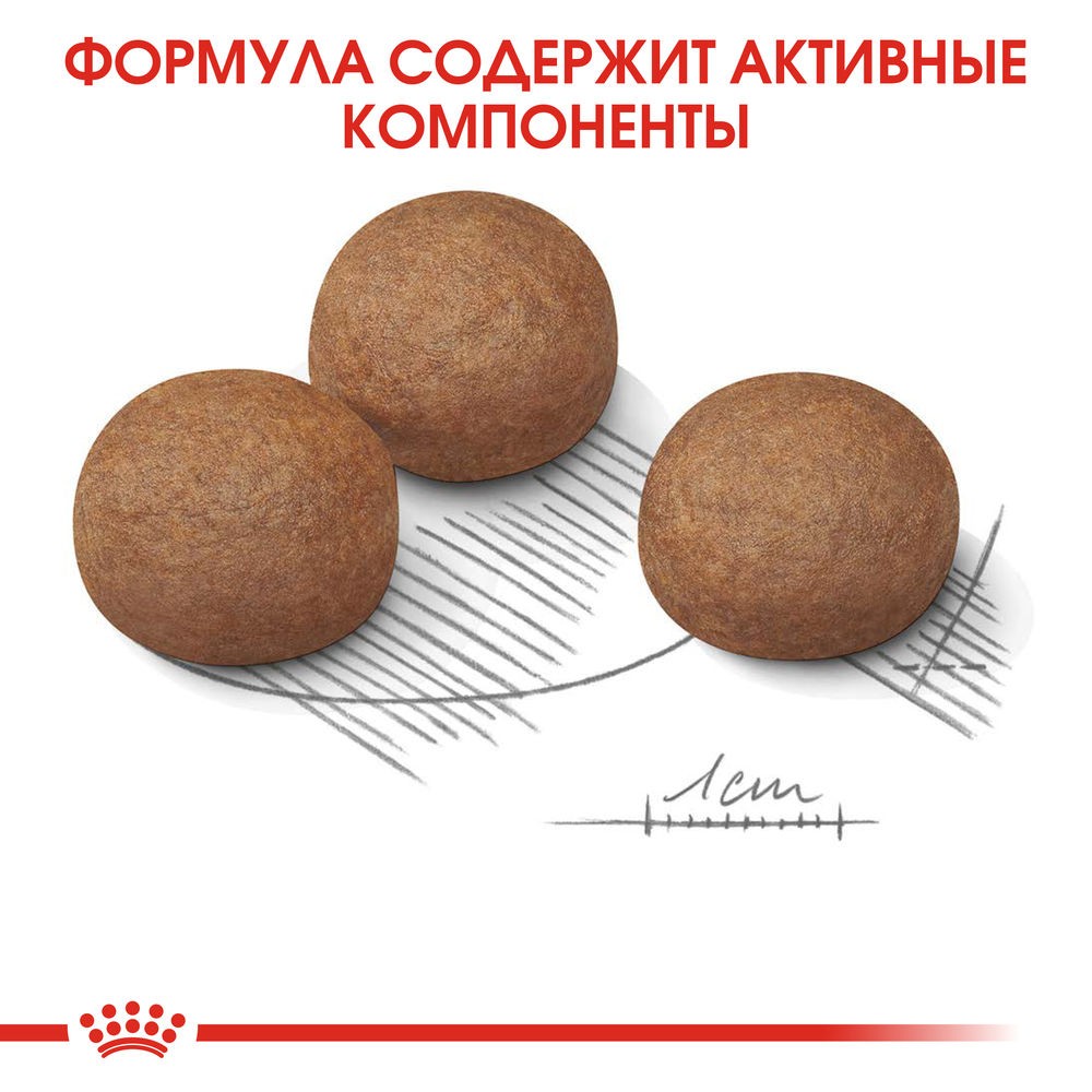 Корм для собак ROYAL CANIN Size Maxi Digestive Care для крупных пород с чувствительным пищеварением сух.