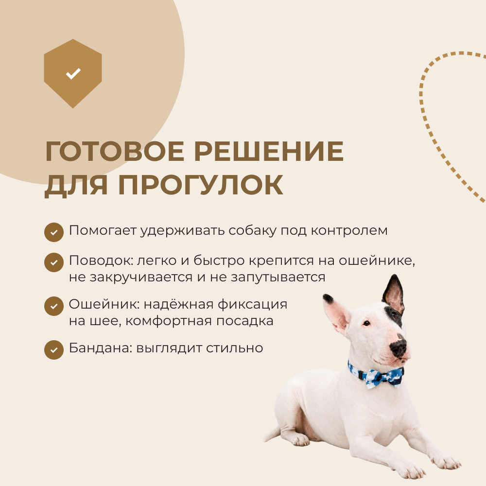 Комплект амуниции для собак FOXIE Gift M голубой