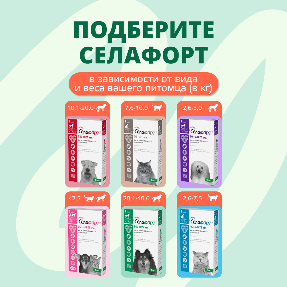 Капли для собак KRKA Селафорт от ушных и чесоточ.клещей, блох, гельминтов 20,1-40кг (240мг) 1 уп.