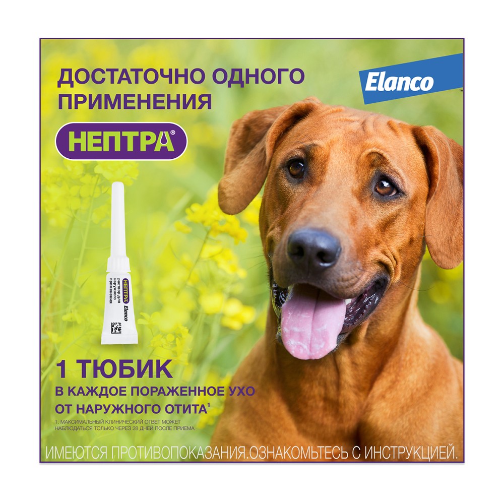 Раствор для собак ELANCO Нептра для лечения отита 2 пипетки 1мл (рецепт)