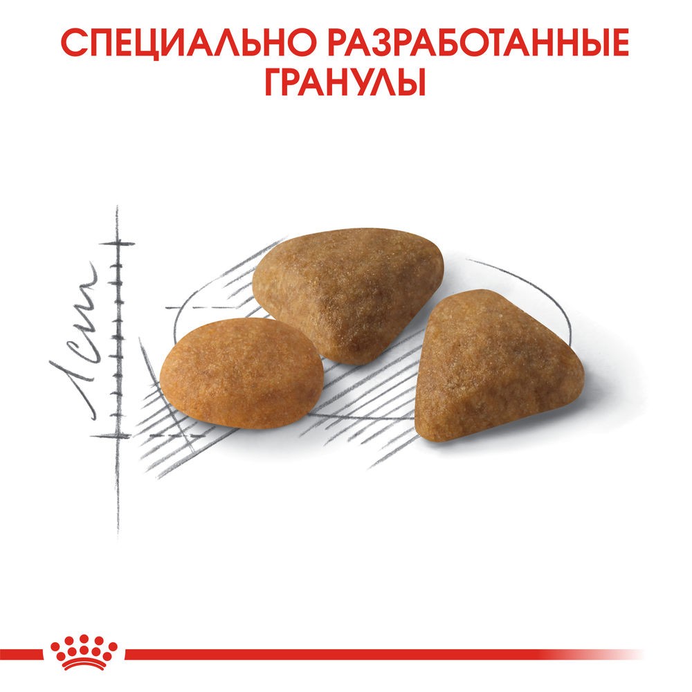 Корм для кошек ROYAL CANIN Savour Exigent для привередливых ко вкусу, от 1 года сух.