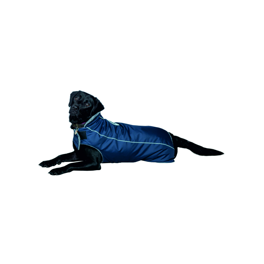 Попона для собак DOG MODA Бостон синяя-5