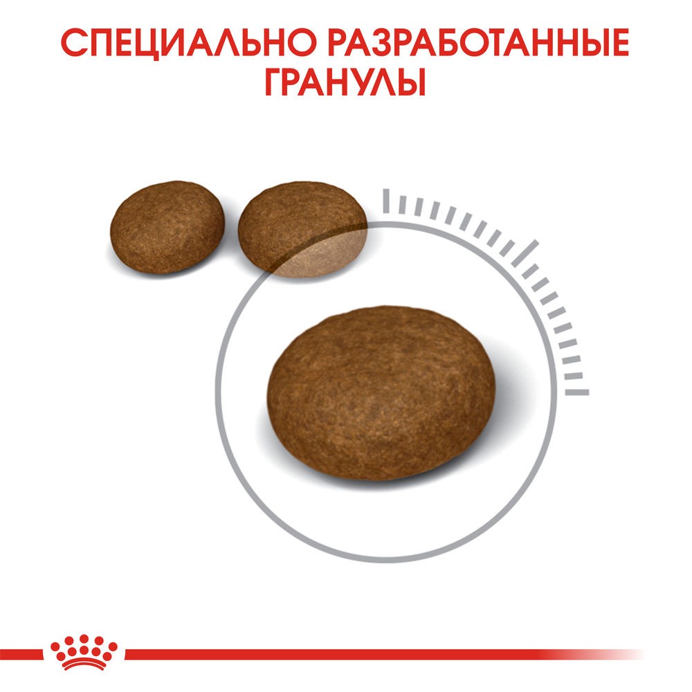 Корм для кошек ROYAL CANIN Hair&Skin Care для здоровья кожи и шерсти сух.
