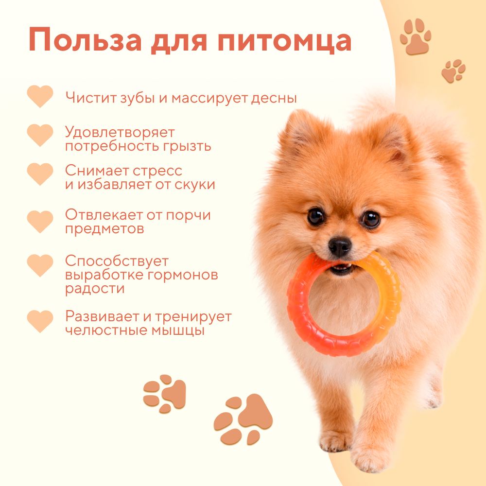 Игрушка для собак FOXIE Кольцо градиентное 11,5х2см