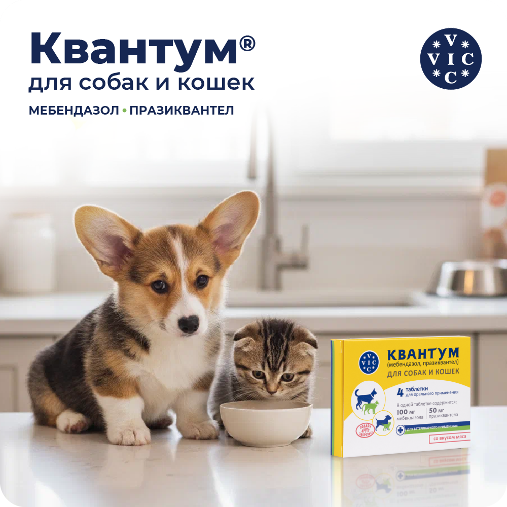 Антигельминтик для собак и кошек DOCTOR VIC Квантум 4табл.