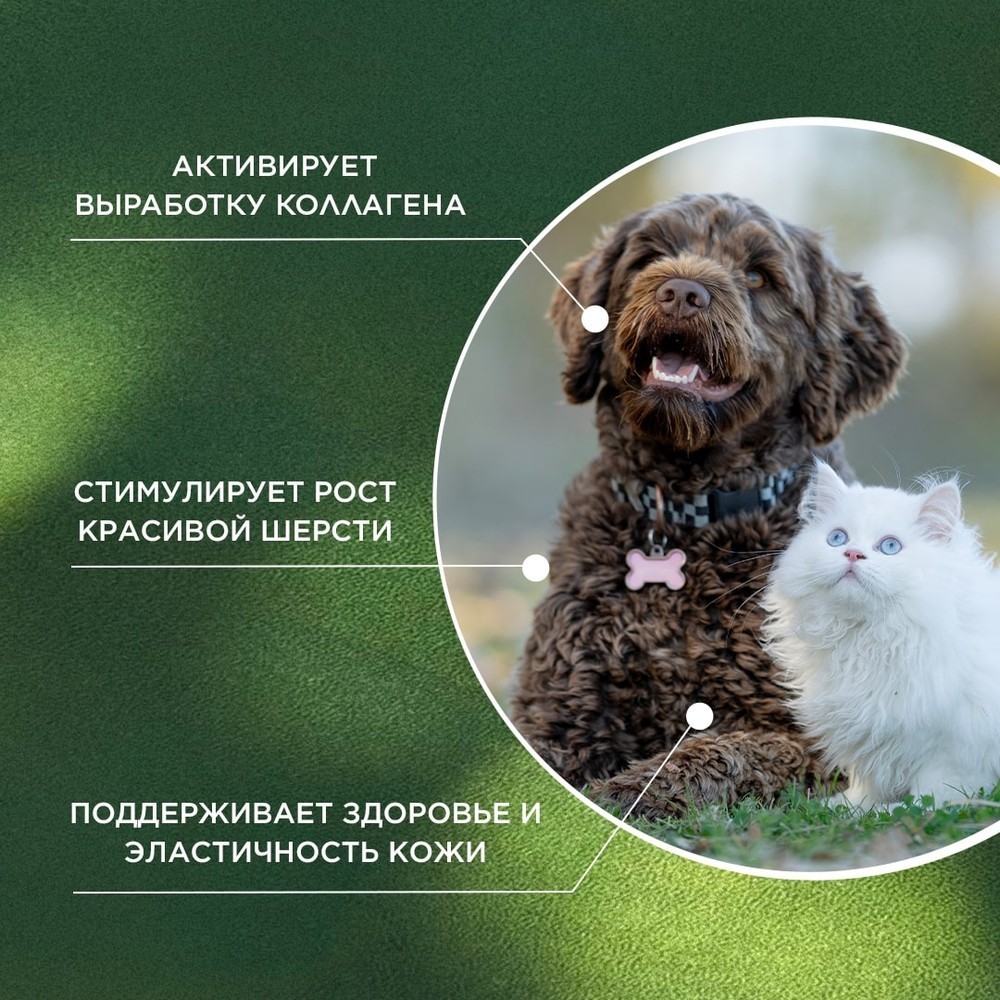 Витамины для кошек и собак PROPHYTO для Кожи и Шерсти, 30таб