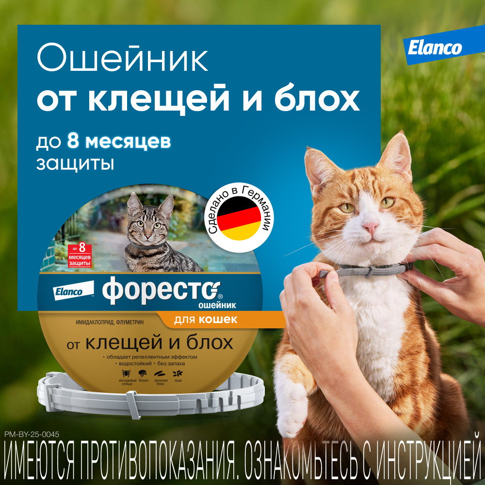 Ошейник для кошек ELANCO Форесто от клещей, блох и вшей, защита 8 месяцев