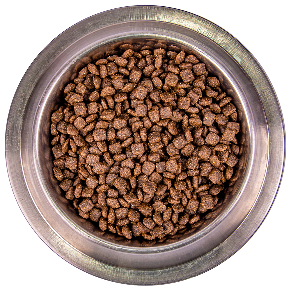 Корм для собак MONGE Dog Speciality Miniдля мелких пород лосось с рисом сух.
