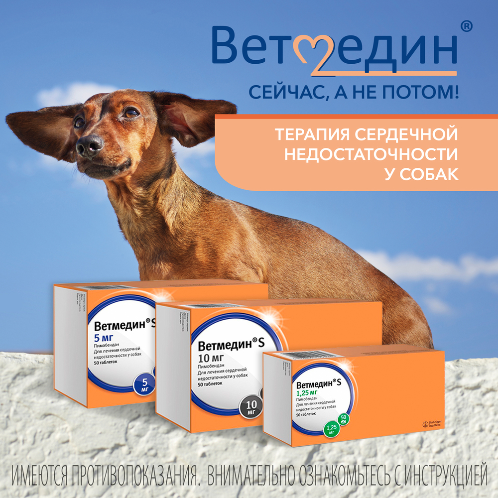 Таблетки жевательные BOEHRINGER INGELHEIM Ветмедин 10,0мг 50таб