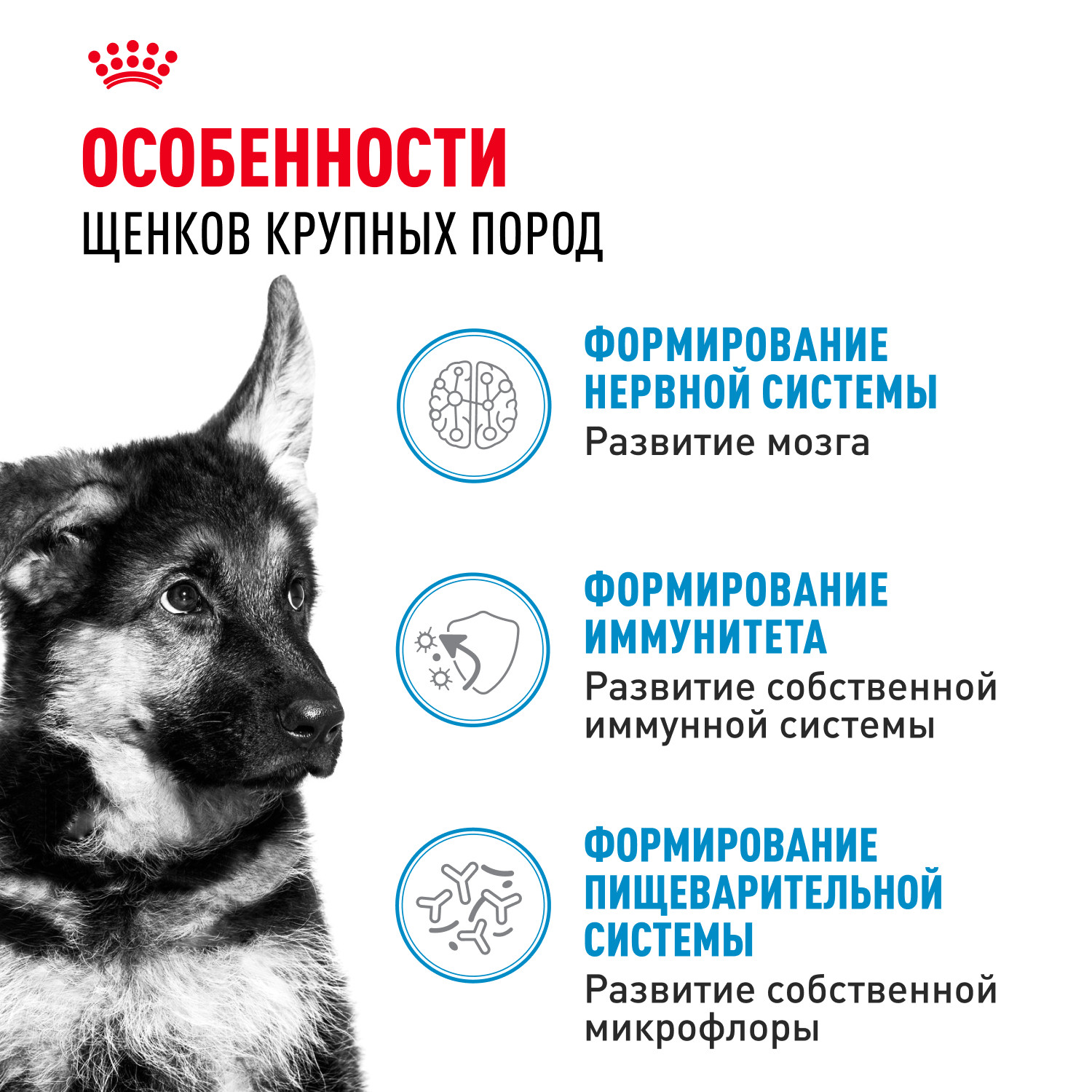 Корм для щенков ROYAL CANIN для крупных пород до 15 месяцев пауч