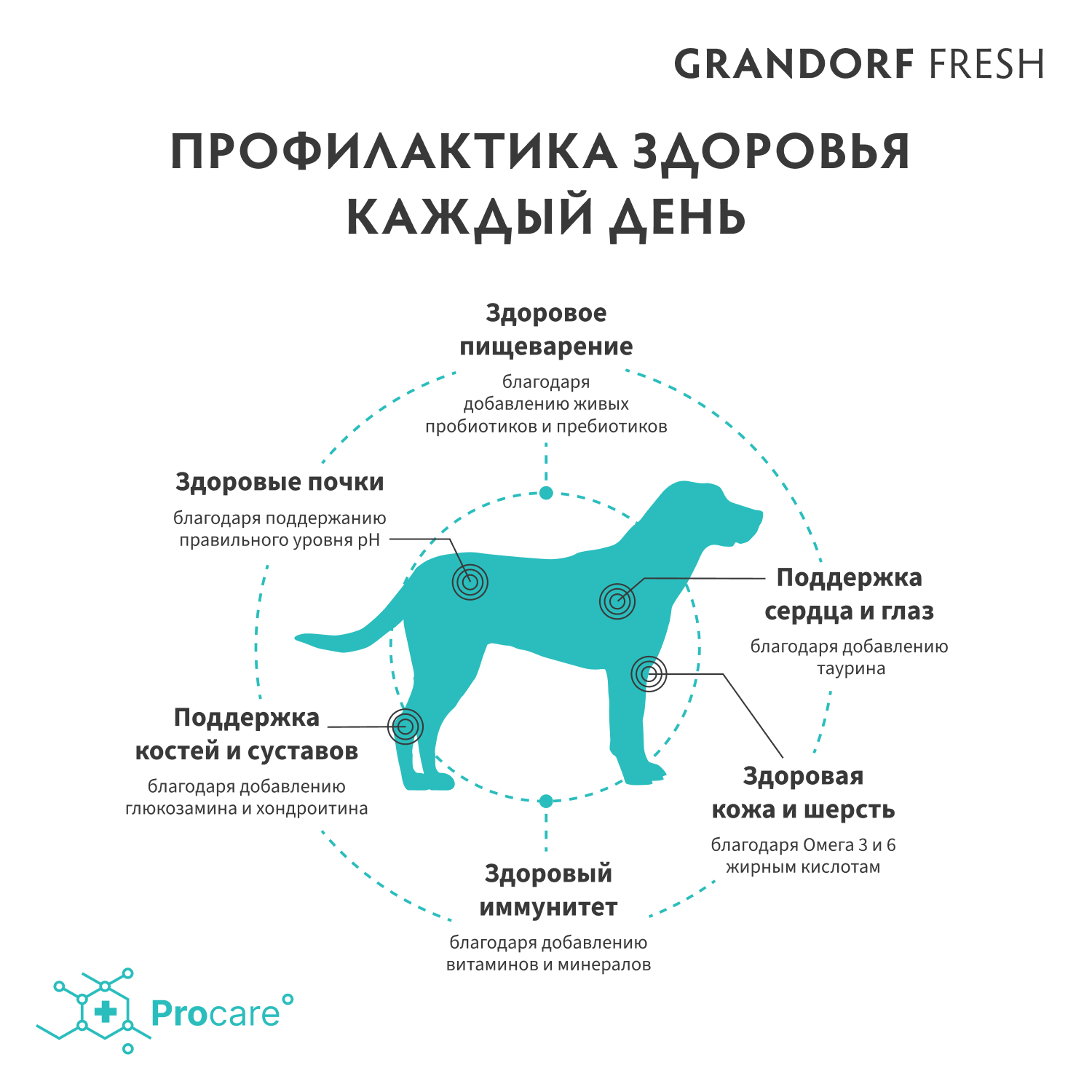 Корм для собак GRANDORF FRESH Dog для крупных пород, филе лосося с бататом сух.