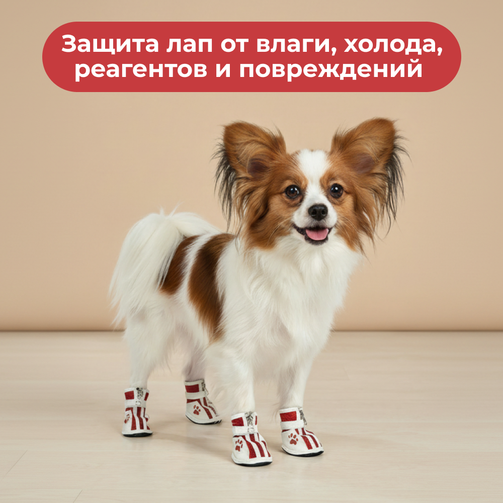 Ботинки для собак FOXIE Paws S 5,2х3,5см красные
