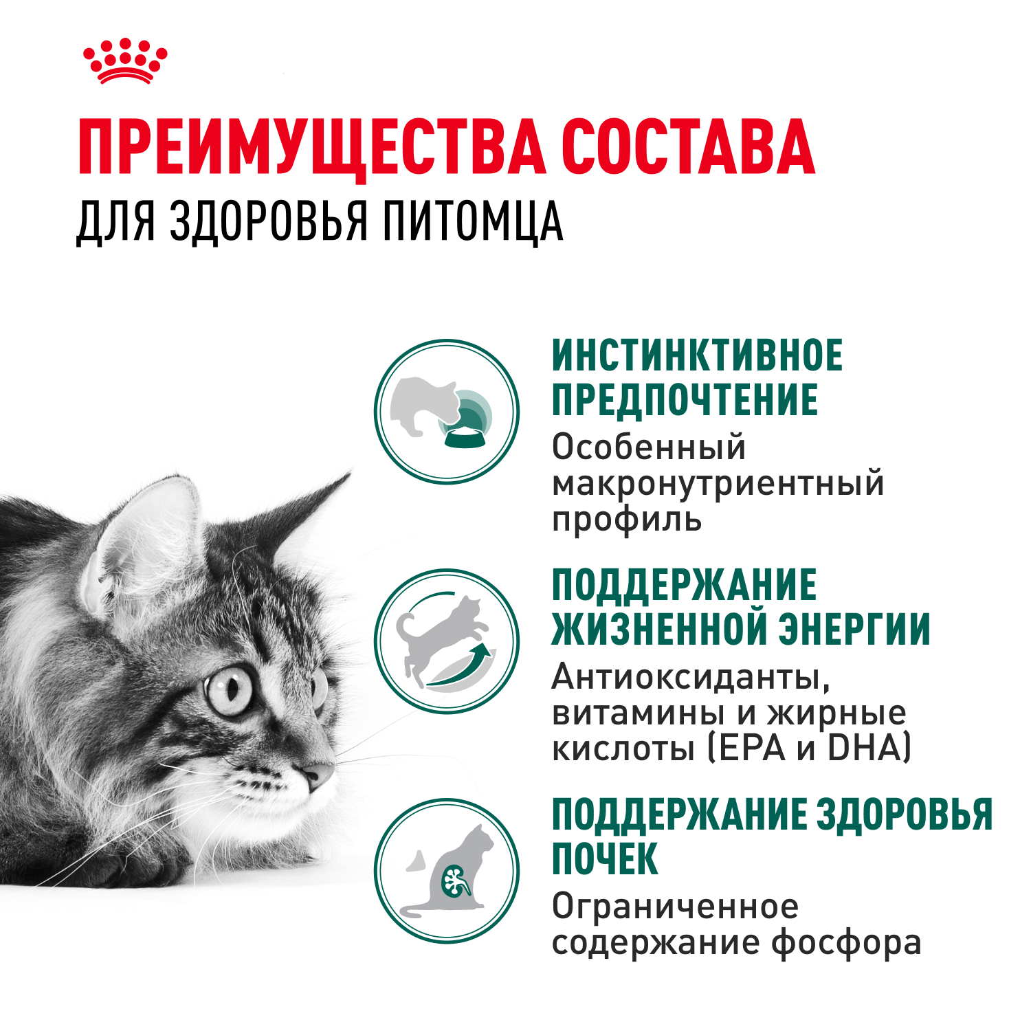 Корм для кошек ROYAL CANIN Instinctive 7+ старше 7 лет конс.