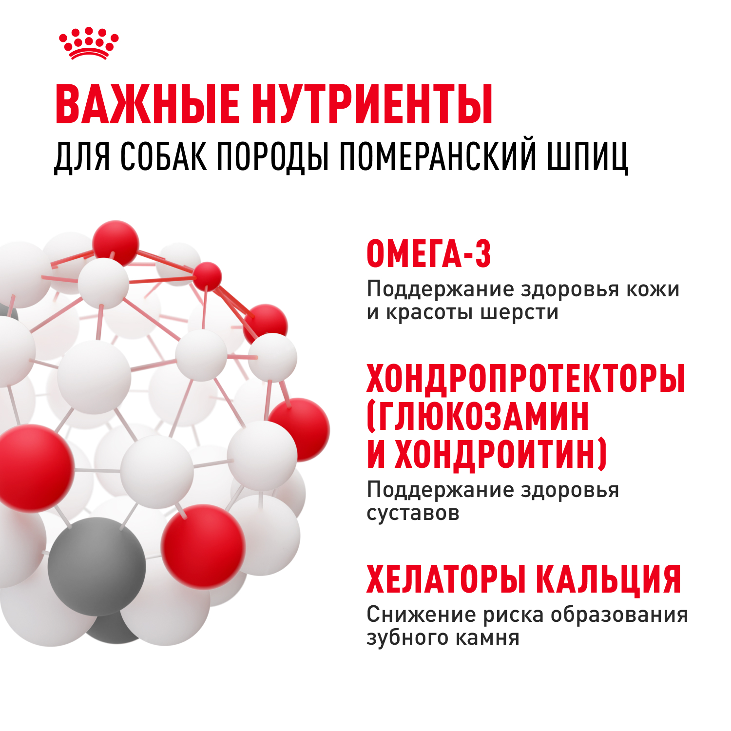 Корм для собак ROYAL CANIN Pomeranian для породы Померанский шпиц старше 8 месяцев сух.