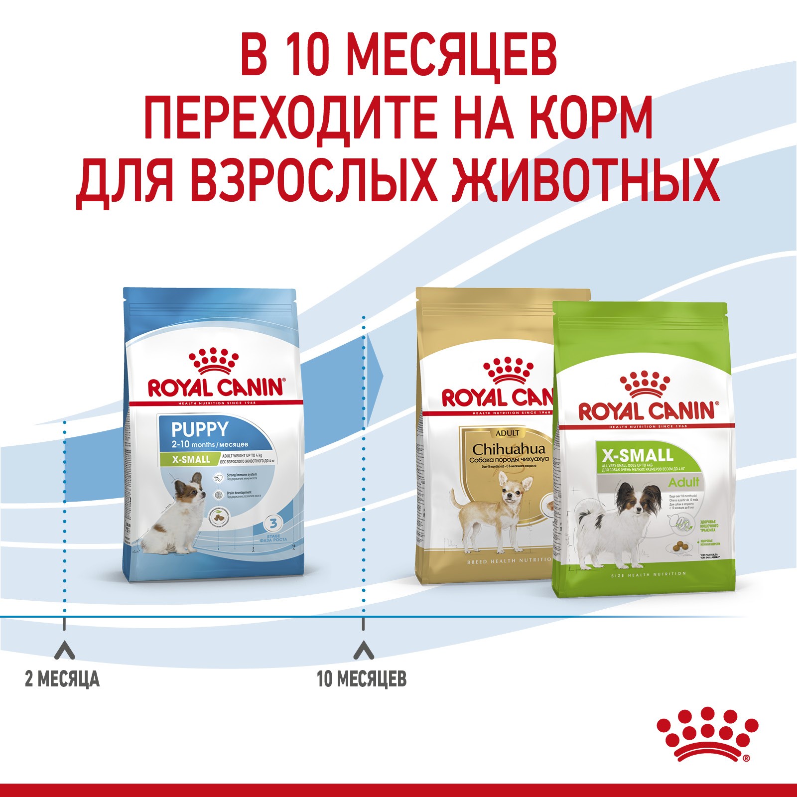 Корм для щенков ROYAL CANIN X-Small Puppy для миниатюрных пород до 10мес. сух.