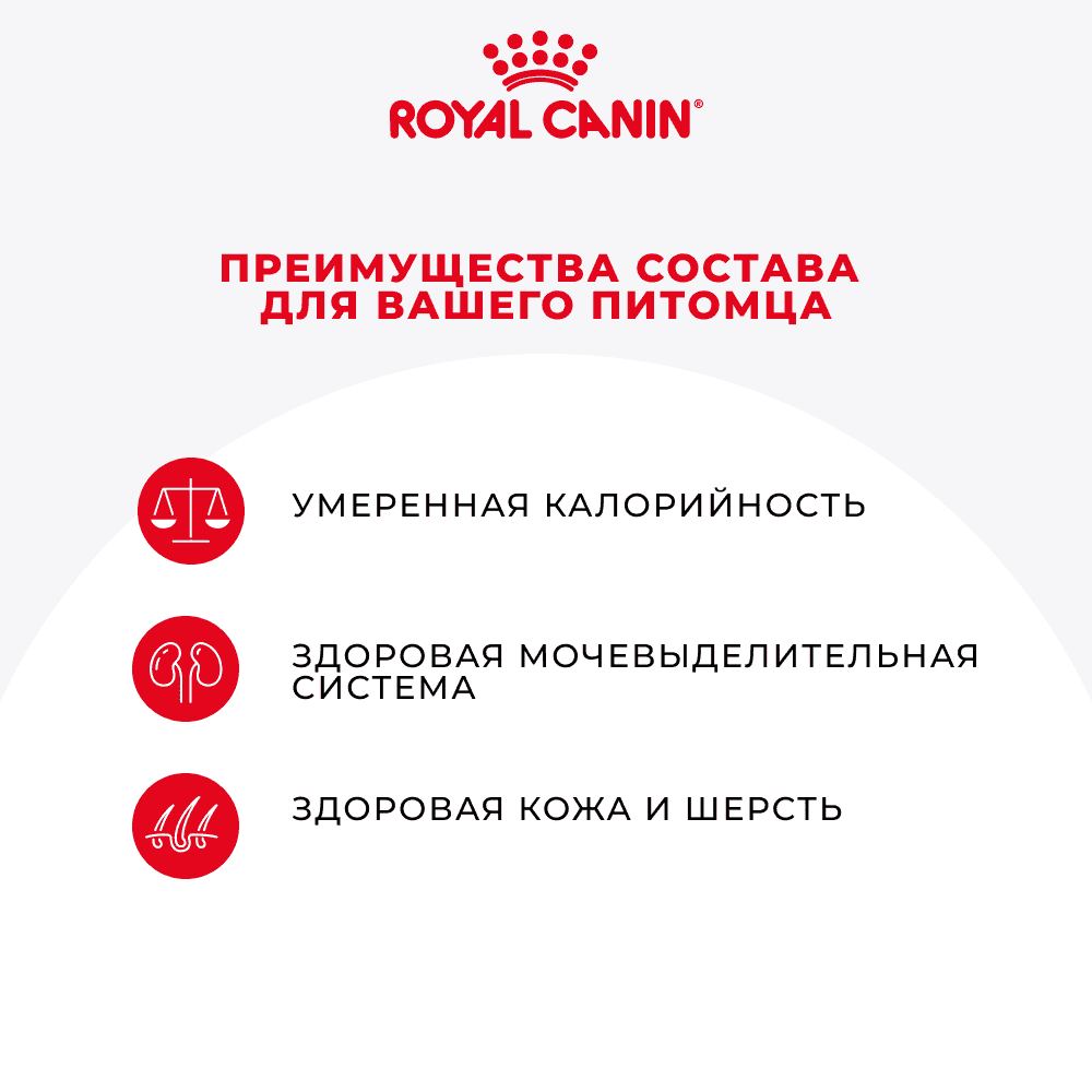 Корм для кошек ROYAL CANIN British Shorthair для британ.короткошерстной породы,мясо в соусе пауч