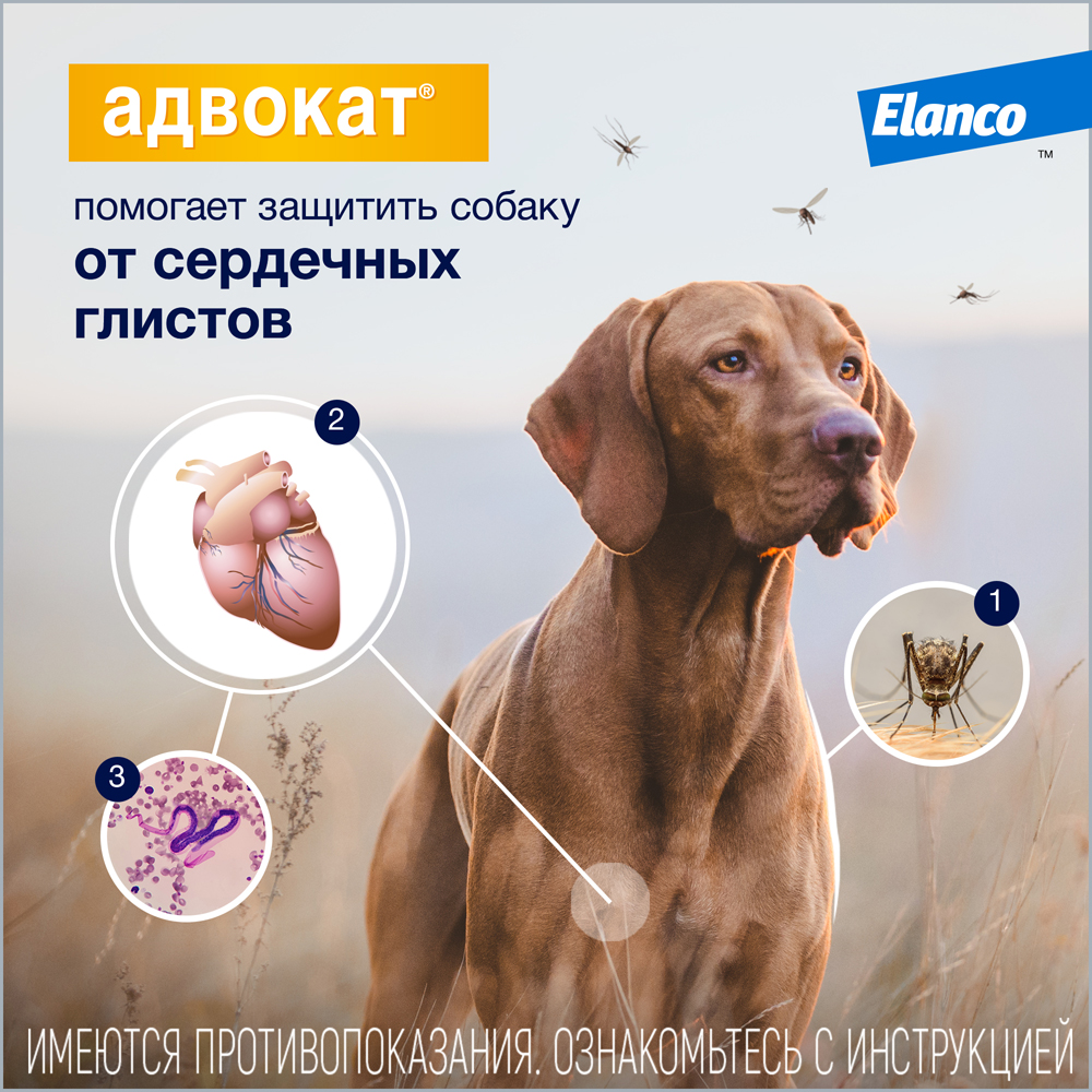 Капли для собак ELANCO Адвокат 100 от чесоточных клещей, блох и гельм. 4-10кг 1мл 1 пип.в упак.