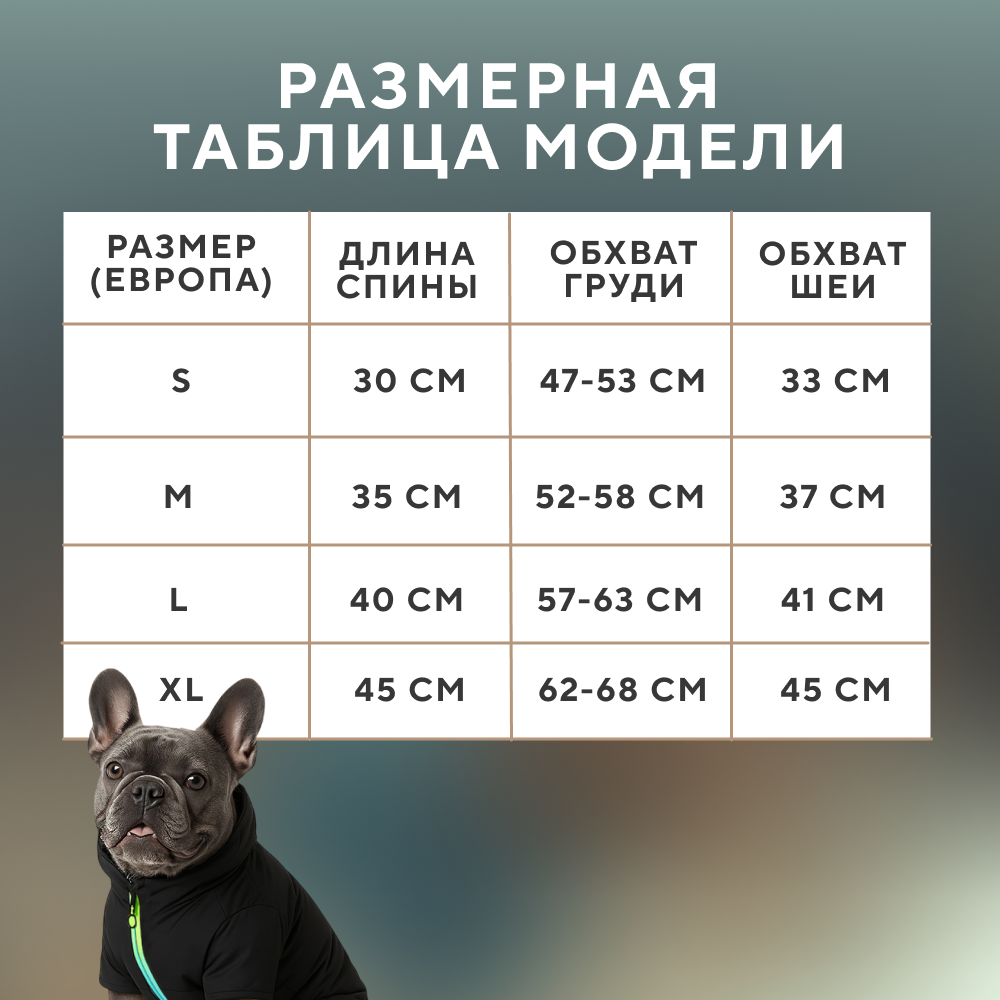 Куртка для собак FOXIE Shine черная