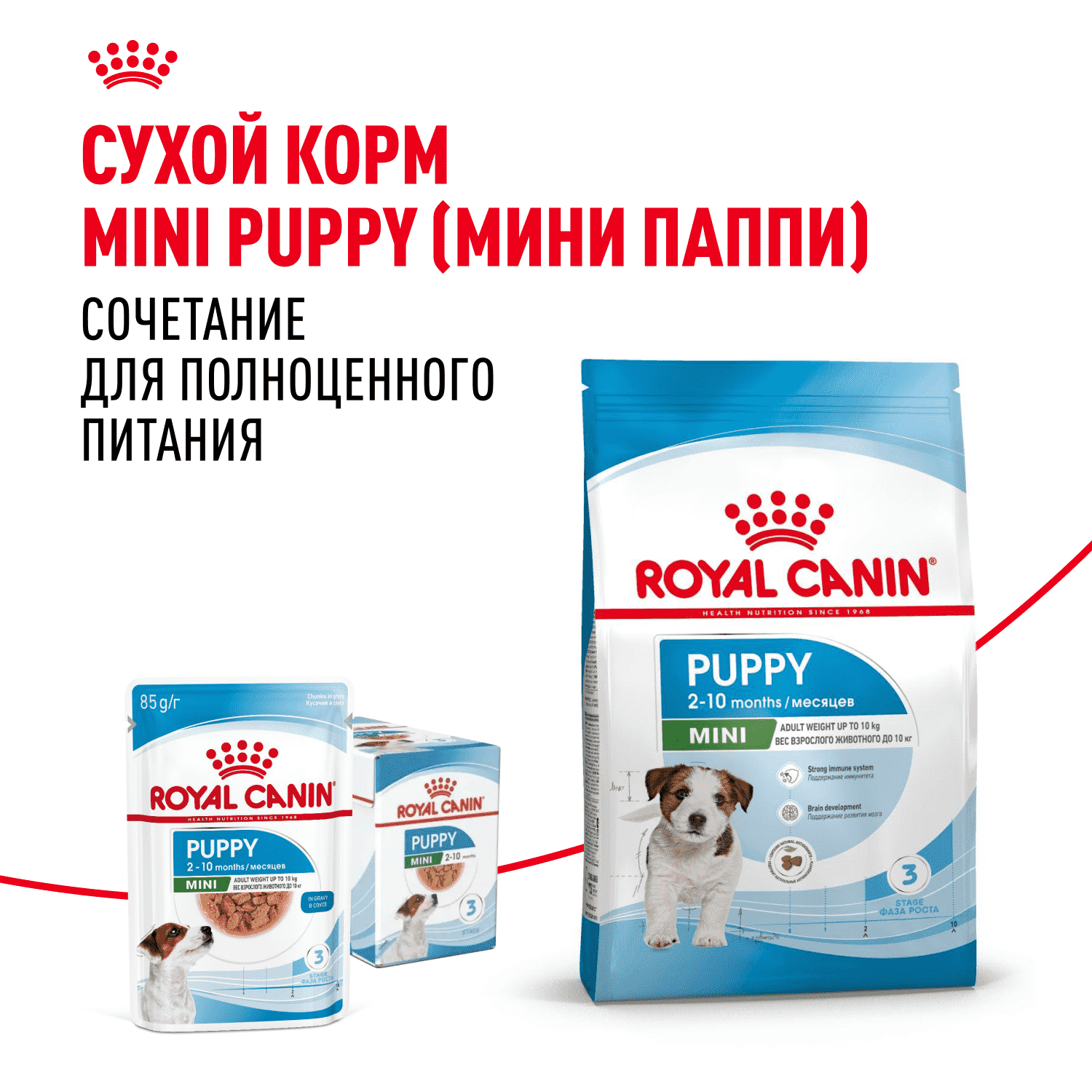 Корм для щенков ROYAL CANIN Mini для мелких пород до 10 месяцев, кусочки в соусе пауч