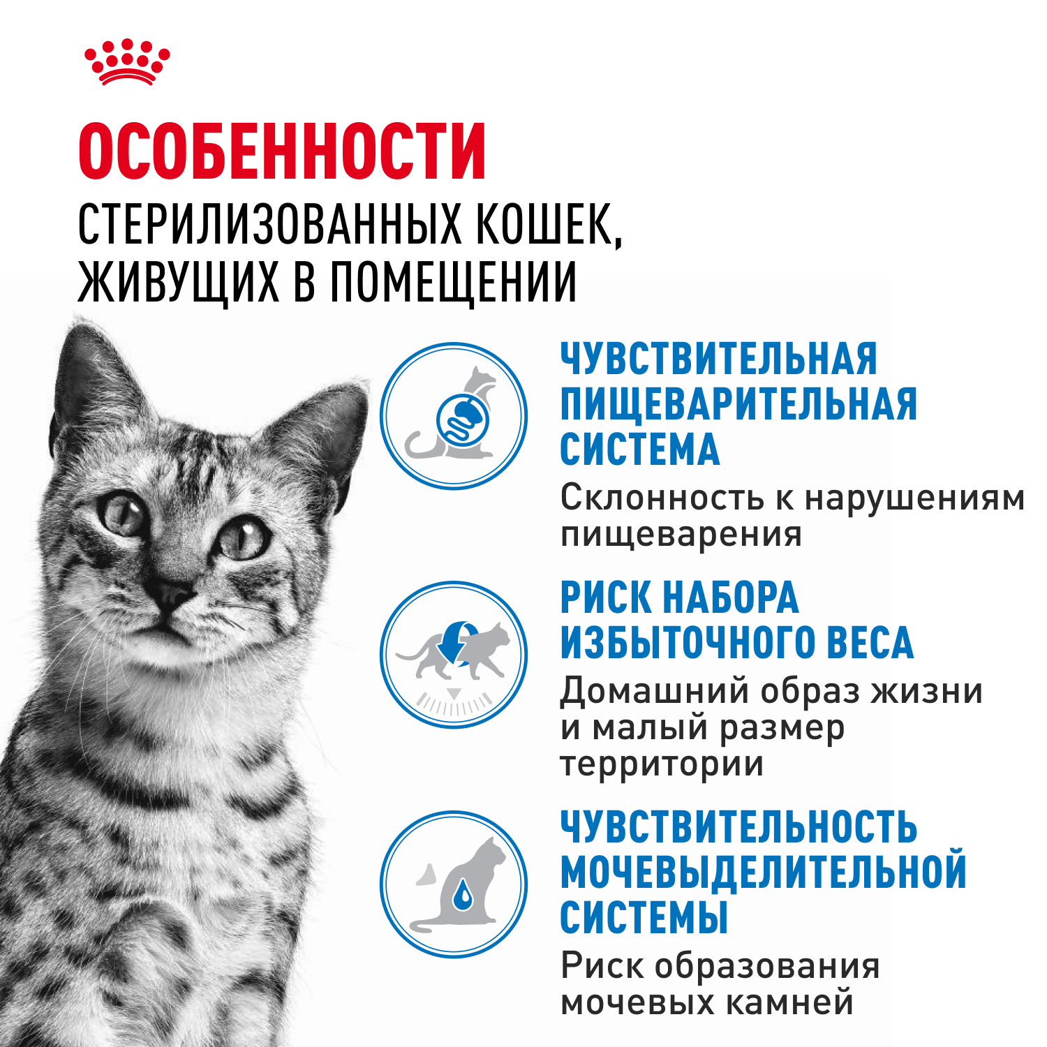 Корм для кошек ROYAL CANIN Indoor Sterilised для кастр. и стерил. живущих в помещ., паштет пауч