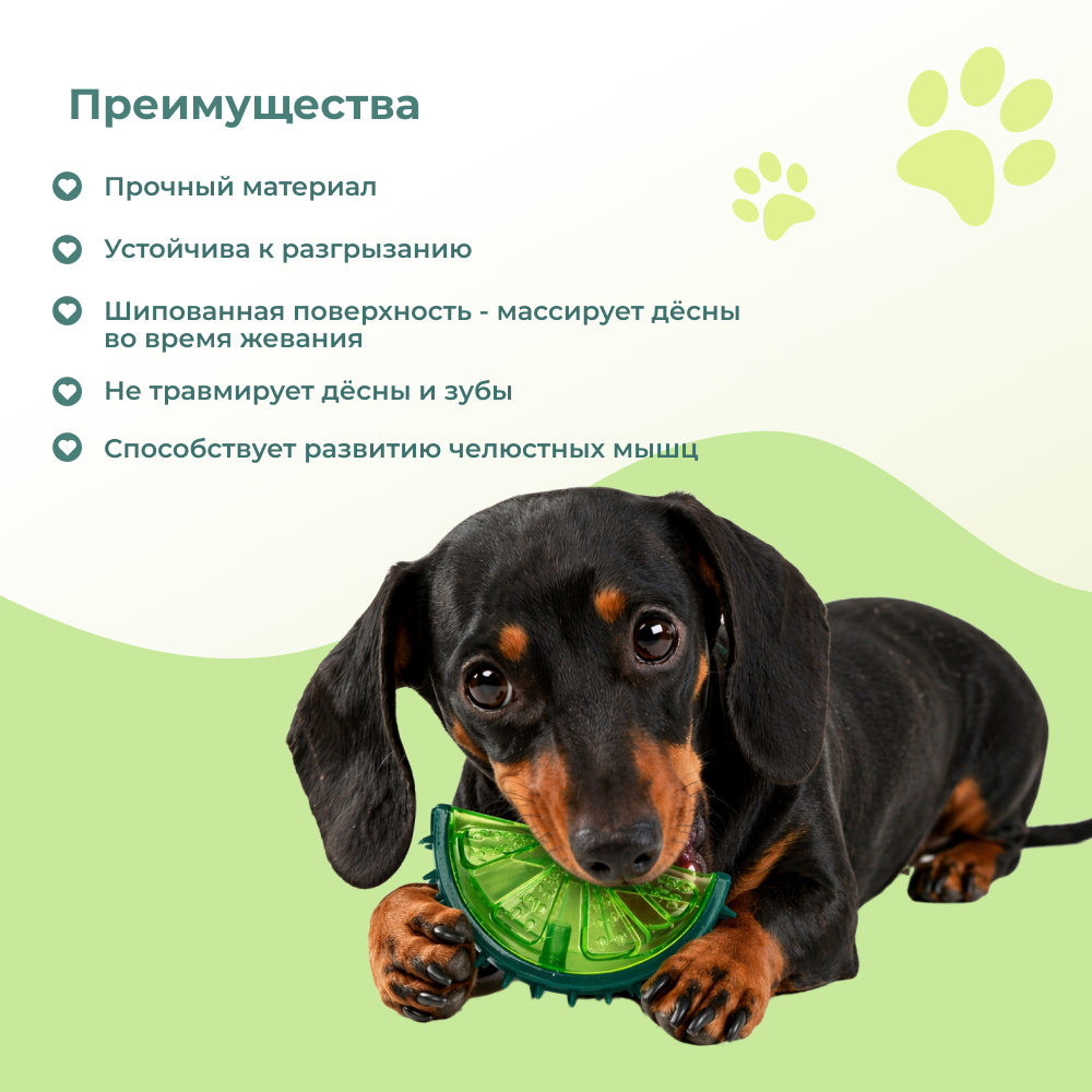 Игрушка для собак FOXIE Melon для чистки зубов 12,3x7,5см