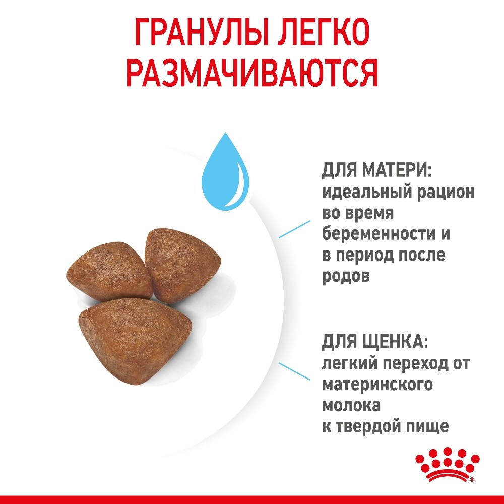 Корм для щенков, беременных и кормящих собак ROYAL CANIN Starter Mother&Babydog Mini для мелких пород сух.