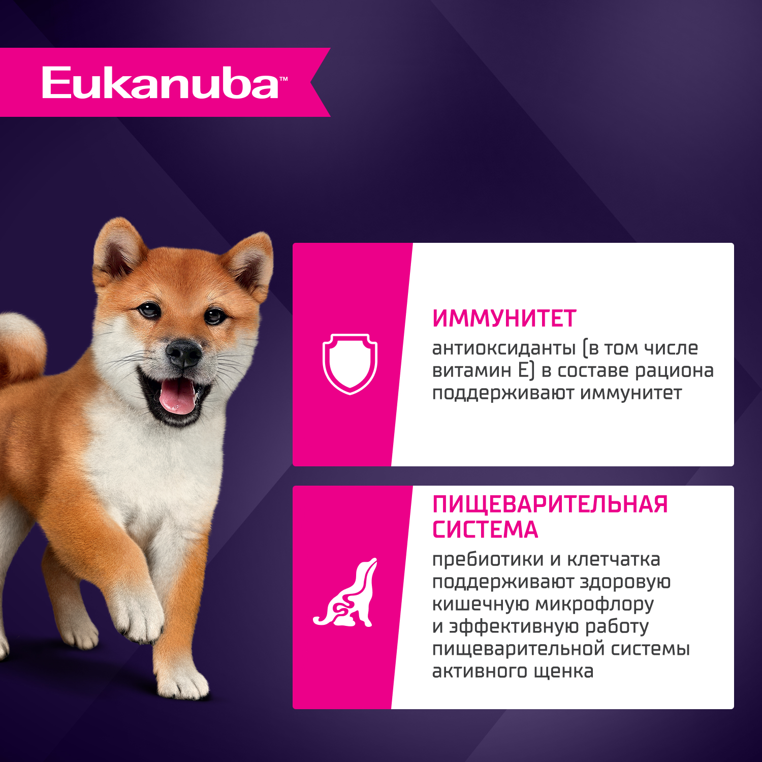 Корм для щенков до 12 месяцев EUKANUBA для мелких и средних пород, ягненок сух.