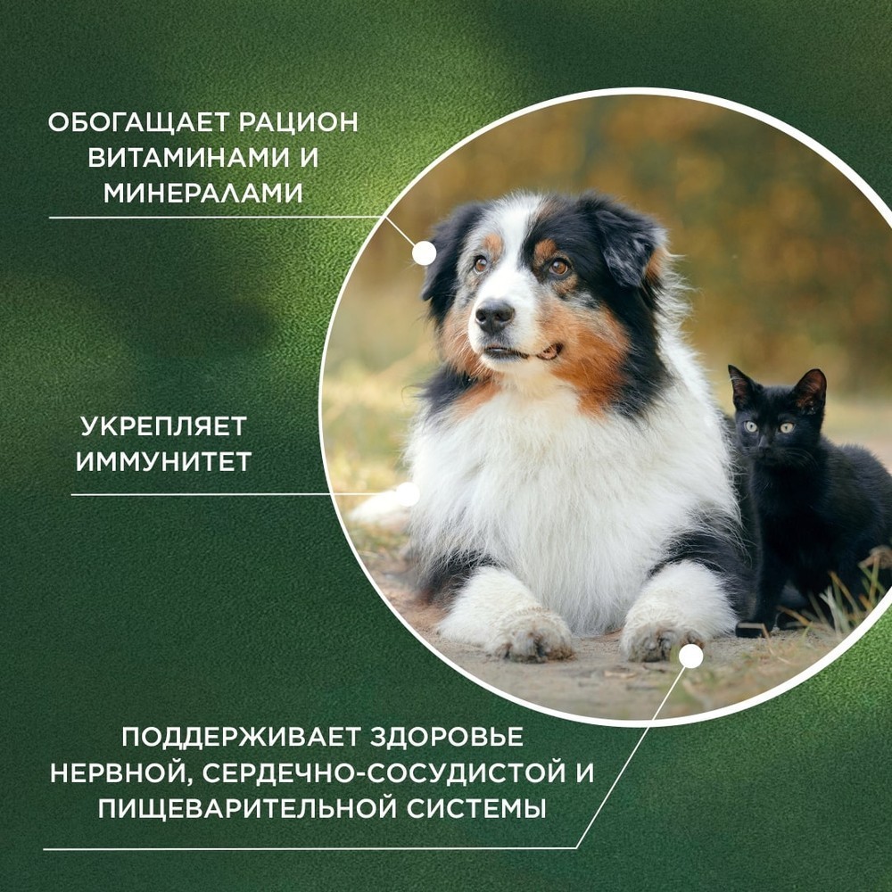 Витамины для кошек и собак PROPHYTO Мультивитамин, 70таб