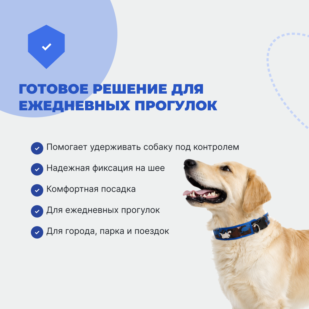 Ошейник и поводок для собак FOXIE Strong M разноцветные